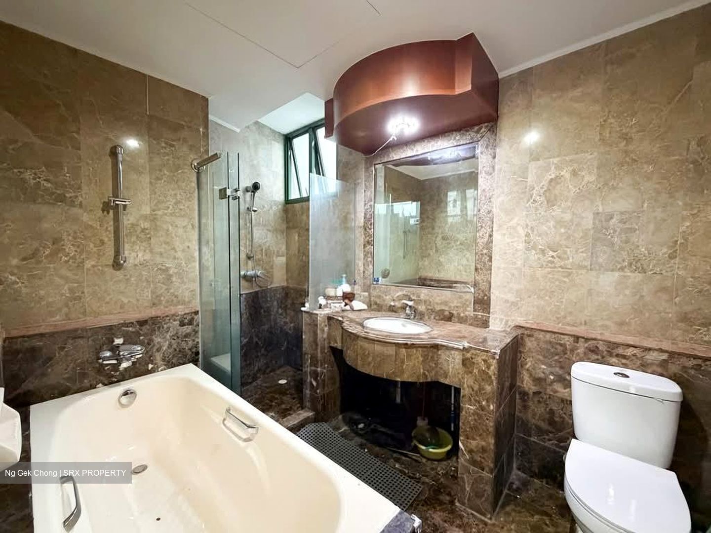 Signature Park (D21), Condominium #573080861